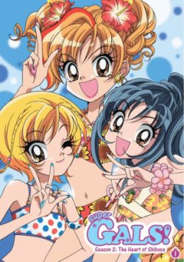 Super GALS! Kotobuki Ran