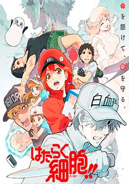 Hataraku Saibou!!