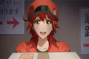 Foto Anime Hataraku Saibou (TV)